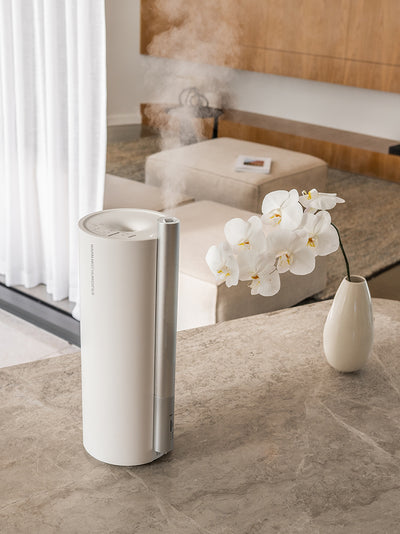 Mist Aura Humidifier