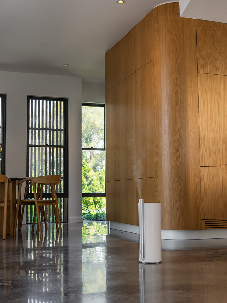 Mist Aura Humidifier